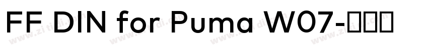 FF DIN for Puma W07字体转换